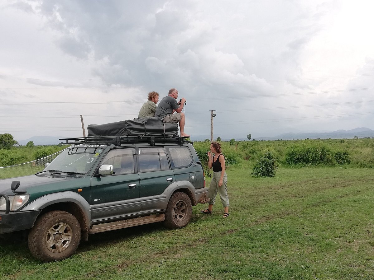 4x4 Prado Tx Rental Kampala