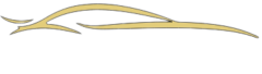 Techsys-Autos-logo-New-polished 2