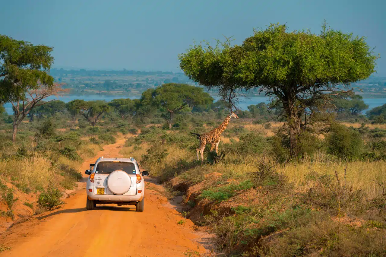 Why Its Not Safe To Self Drive in Uganda